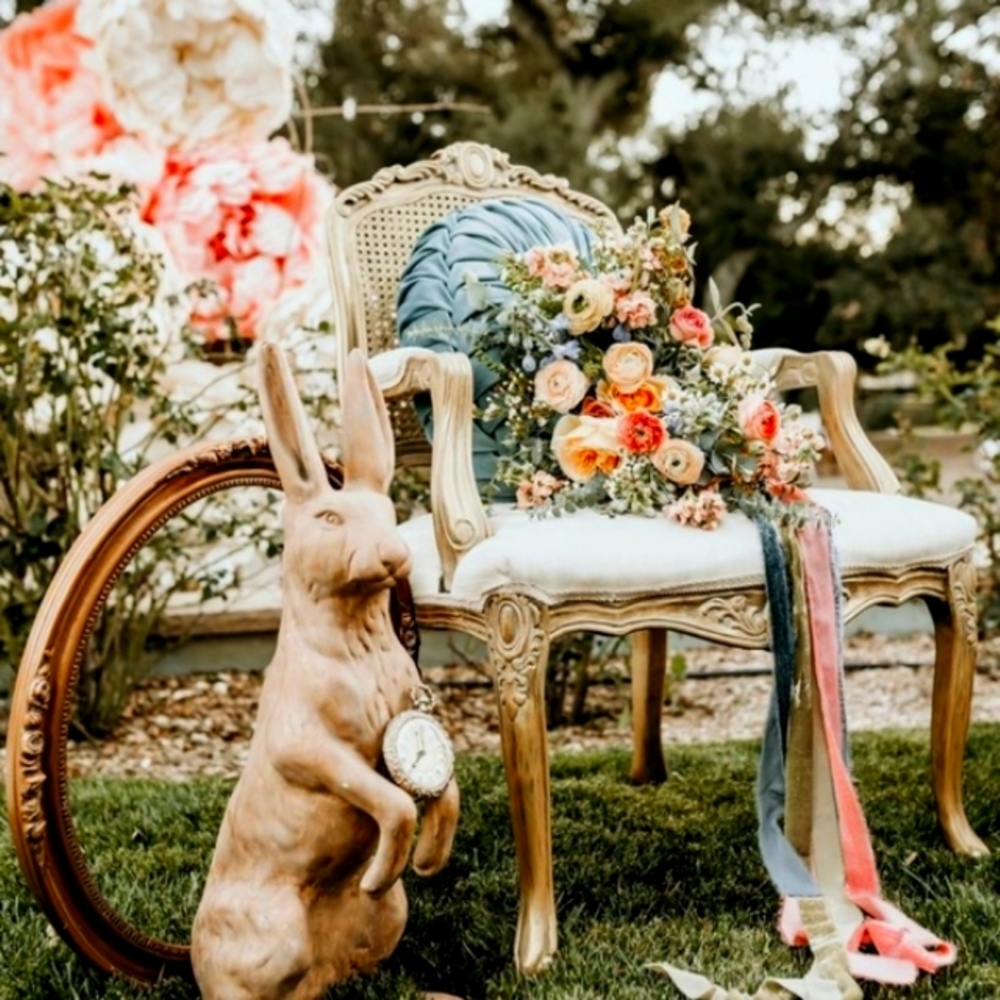 ๐โฑFollow the White Rabbit - Picture 4 of 13